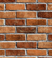 papel de colgadura WF29502