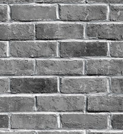 papel de colgadura WF29505